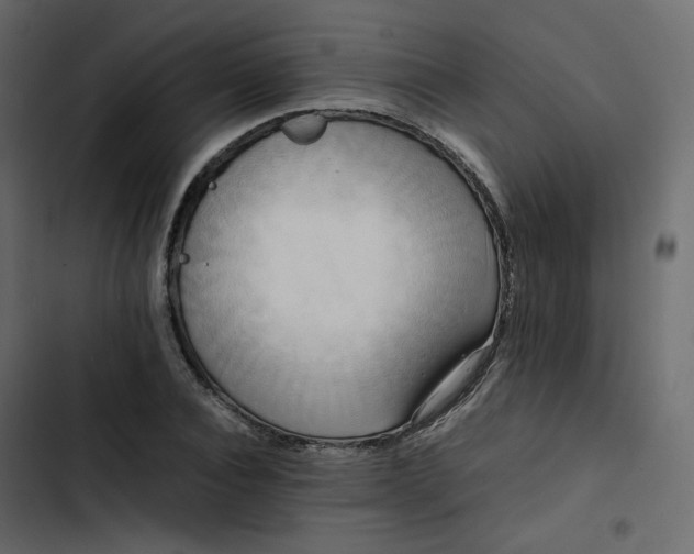 X0000102840928200809021333