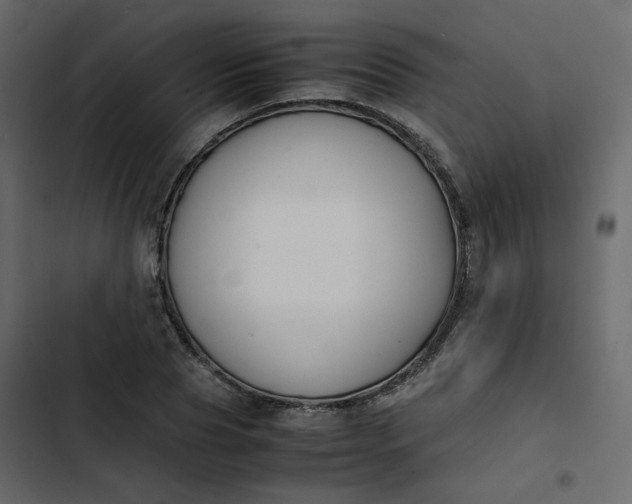 X0000102840929200809021333