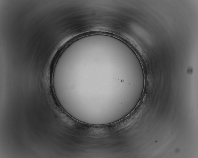 X0000102840931200809021333