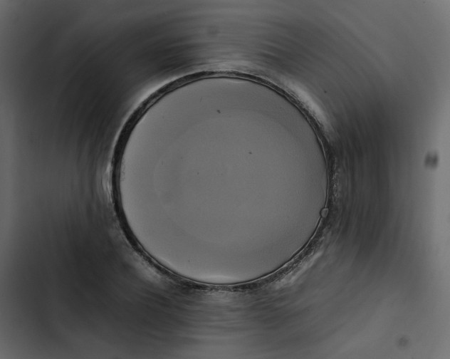 X0000102840932200809021333