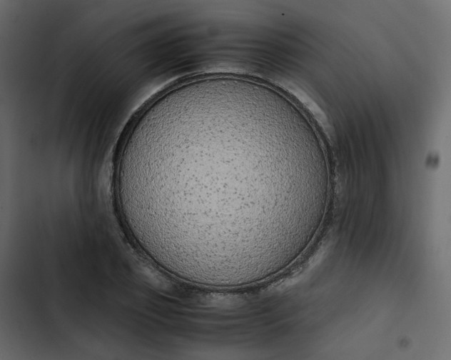 X0000102840933200809021333