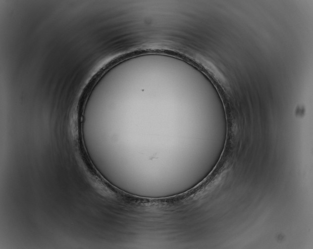 X0000102840934200809021333