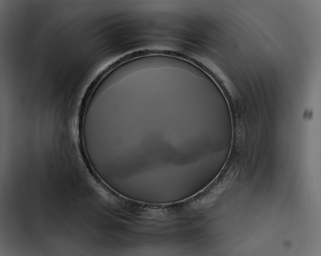 X0000102840935200809021333