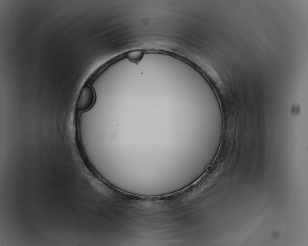 X0000102840936200809021333