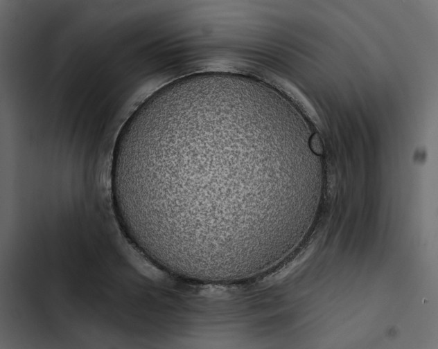 X0000102840938200809021333