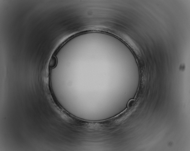 X0000102840940200809021333