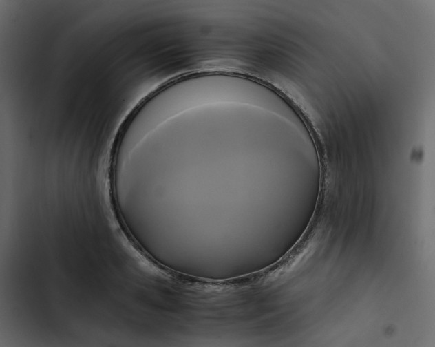 X0000102840941200809021333