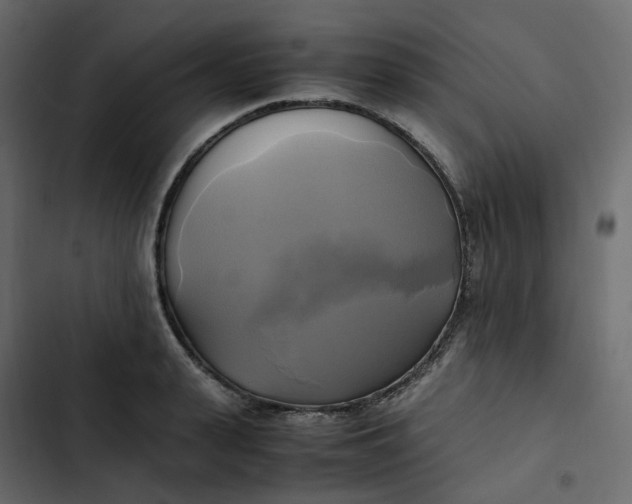 X0000102840943200809021333