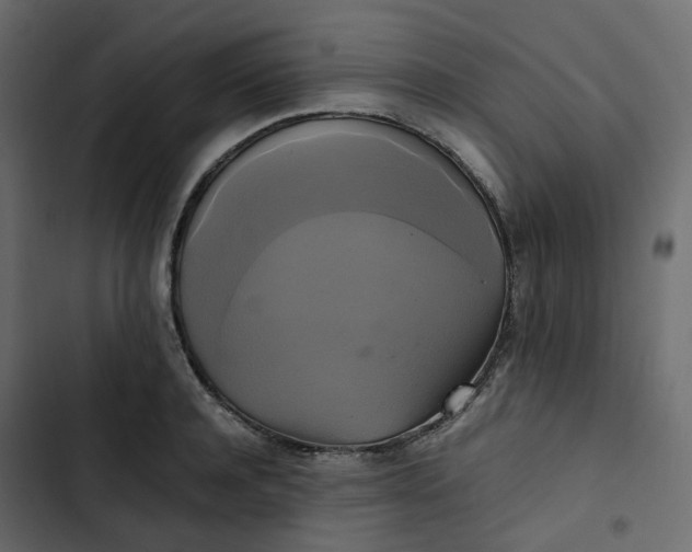 X0000102840944200809021333