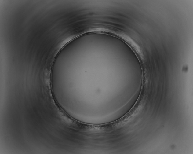 X0000102840945200809021333