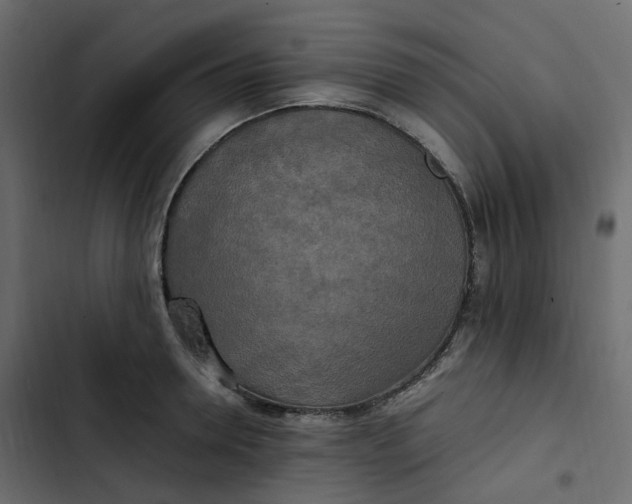 X0000102840946200809021333