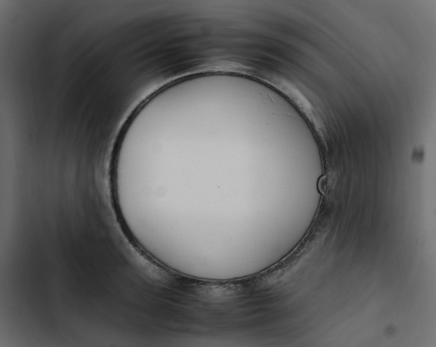 X0000102840947200809021333