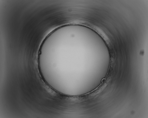 X0000102840948200809021333