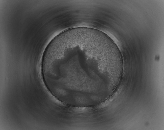 X0000102840949200809021333