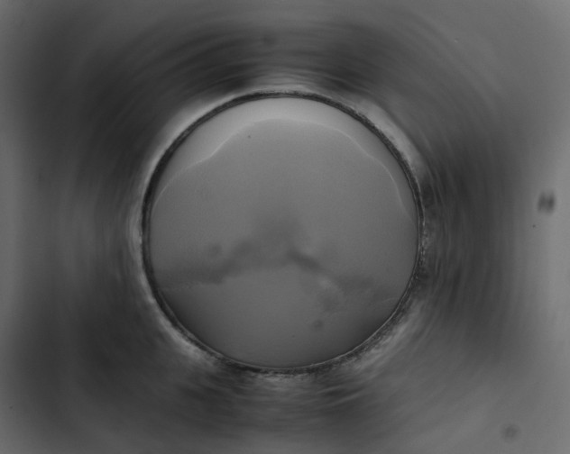 X0000102840951200809021333