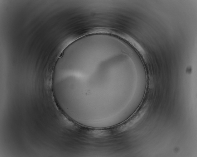 X0000102840953200809021333