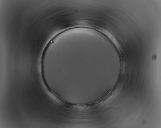 X0000102840955200809021333