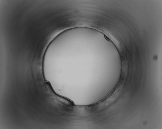 X0000102840956200809021333