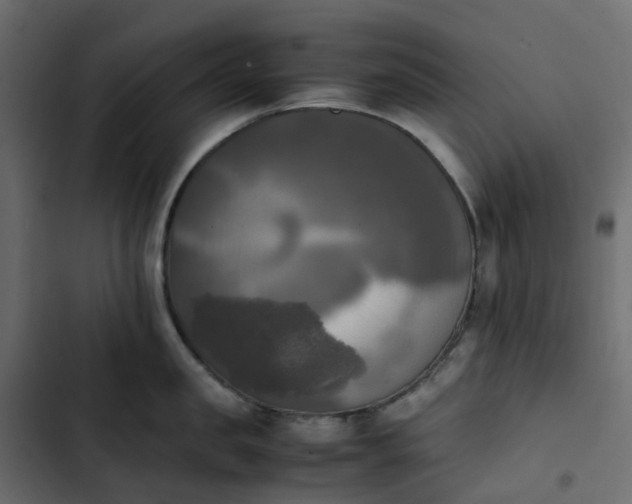 X0000102840957200809021334