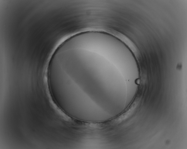 X0000102840958200809021334