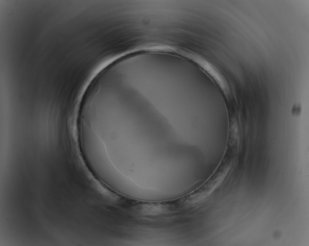 X0000102840959200809021334