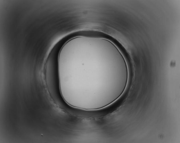 X0000102840960200809021334