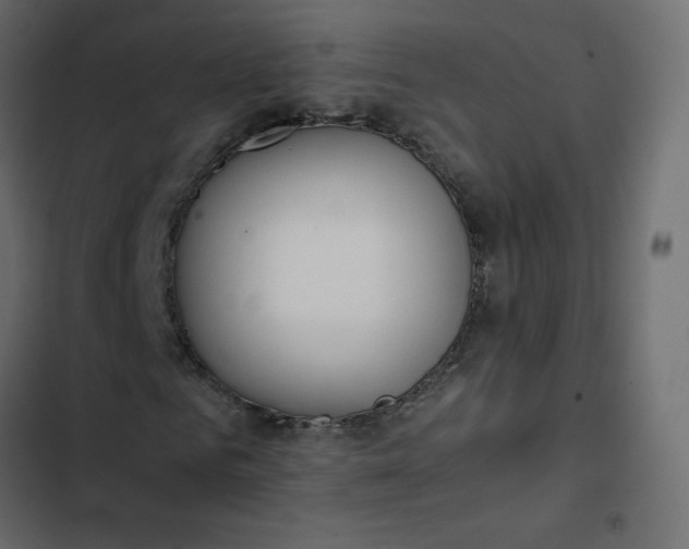 X0000102840961200809021333