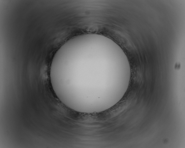 X0000102840962200809021333