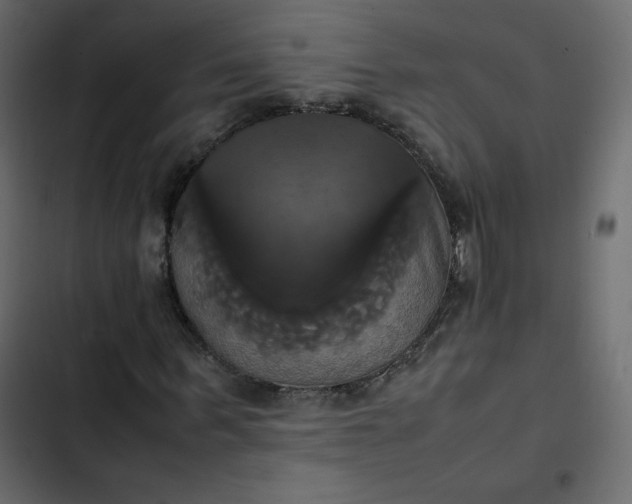 X0000102840963200809021333