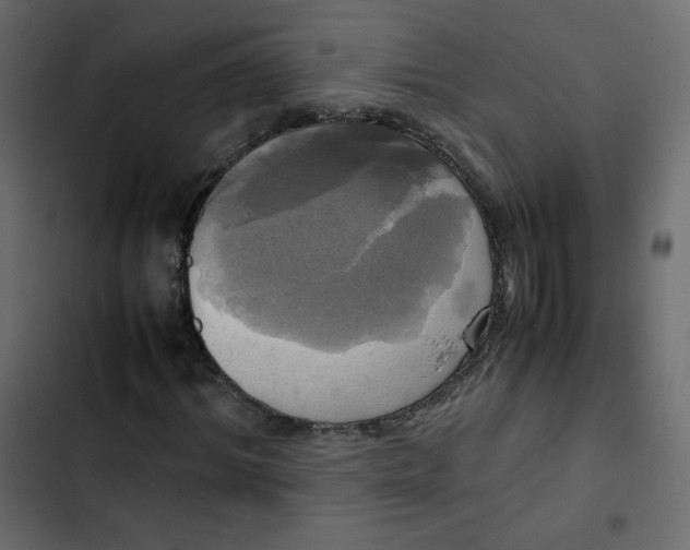 X0000102840964200809021333