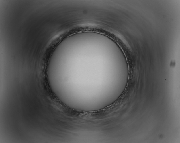 X0000102840967200809021333