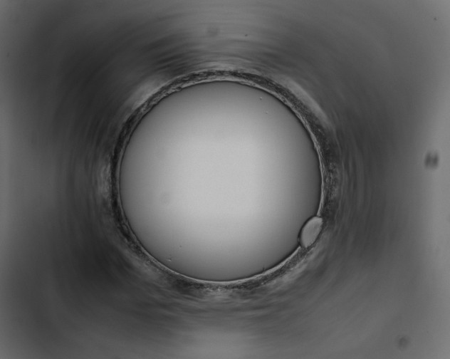 X0000102840969200809021333