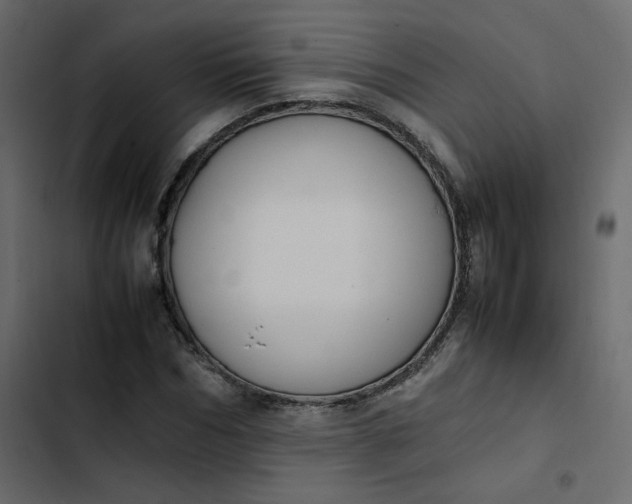 X0000102840970200809021333