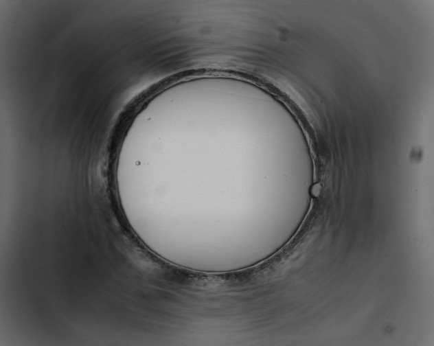 X0000102840971200809021333