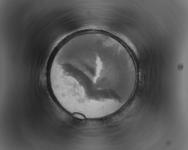 X0000102840972200809021333