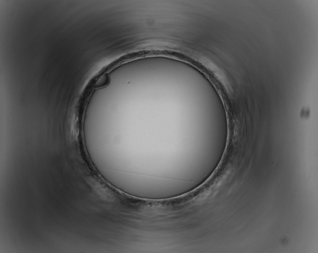 X0000102840973200809021333