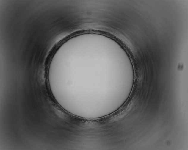 X0000102840974200809021333