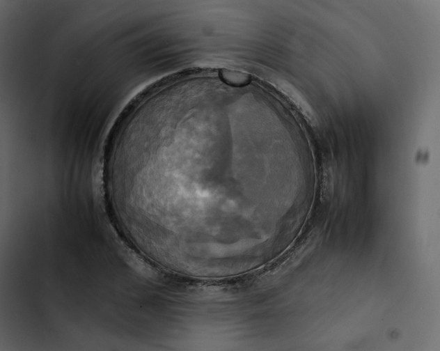 X0000102840976200809021333