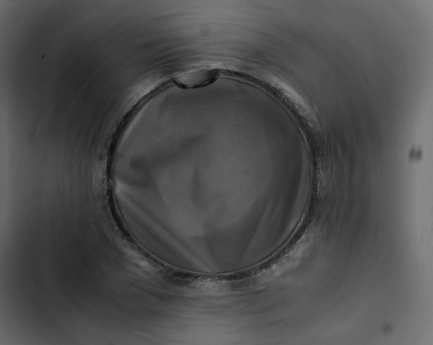 X0000102840977200809021333