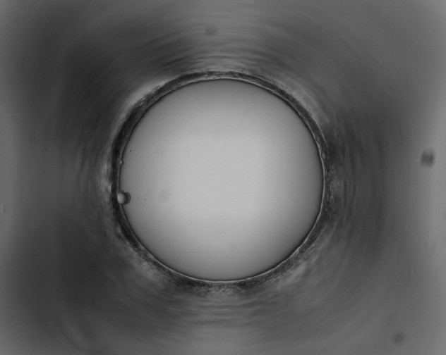 X0000102840979200809021333