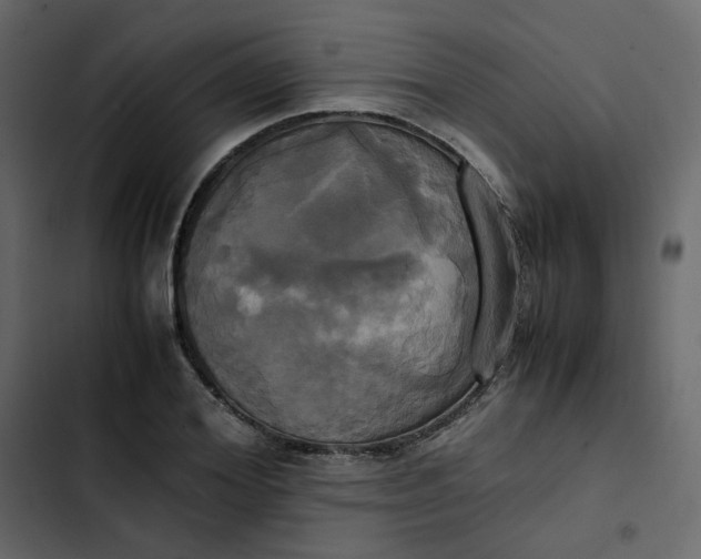 X0000102840980200809021333