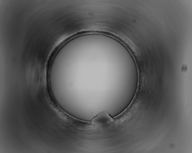 X0000102840982200809021333