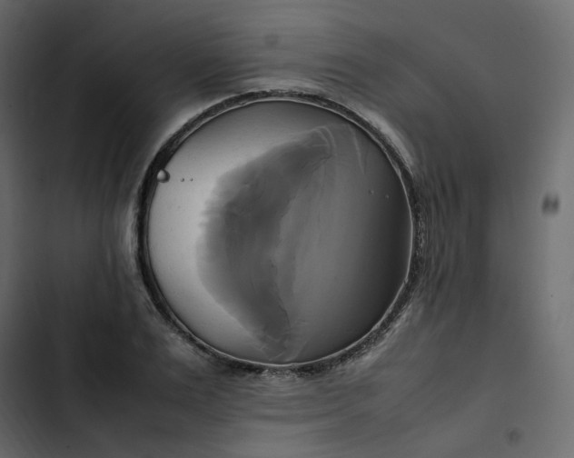 X0000102840983200809021333