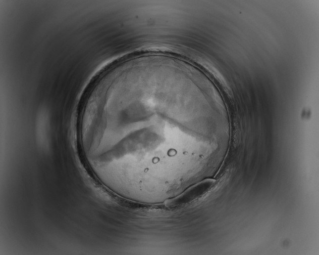 X0000102840984200809021333