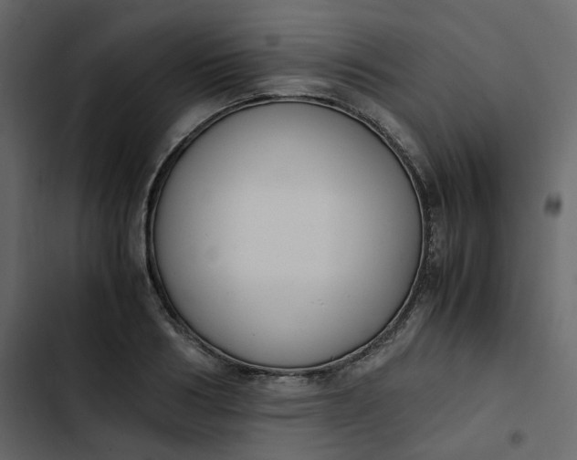 X0000102840986200809021333