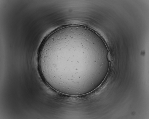 X0000102840987200809021333