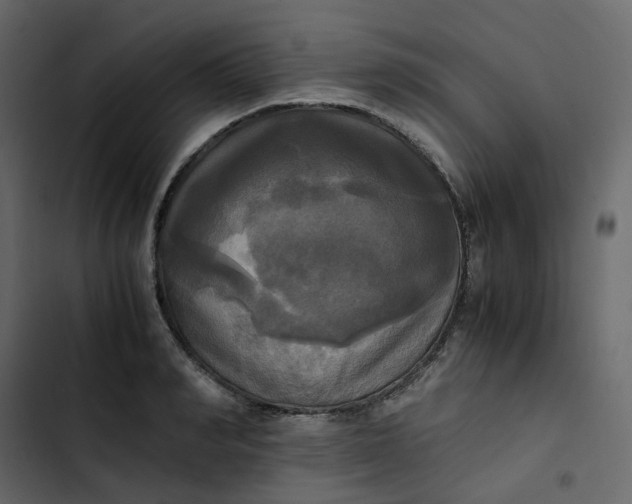 X0000102840990200809021332