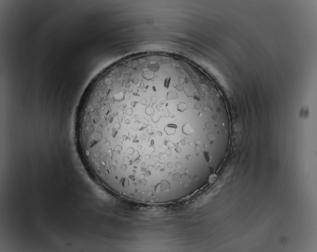 X0000102840991200809021332