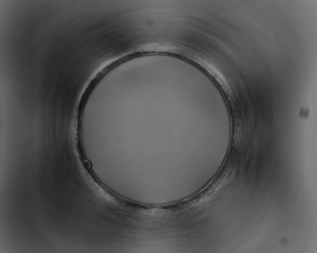 X0000102840992200809021332