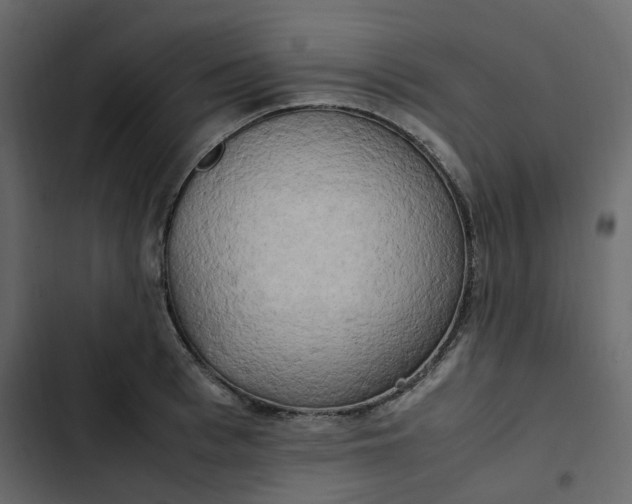 X0000102840993200809021332